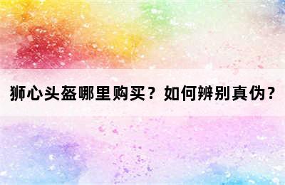 狮心头盔哪里购买？如何辨别真伪？