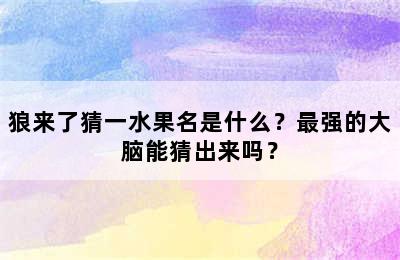 狼来了猜一水果名是什么？最强的大脑能猜出来吗？