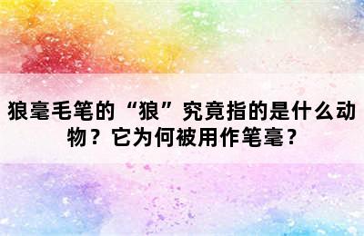 狼毫毛笔的“狼”究竟指的是什么动物？它为何被用作笔毫？