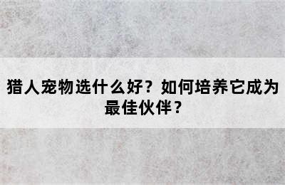 猎人宠物选什么好？如何培养它成为最佳伙伴？