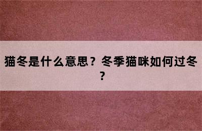 猫冬是什么意思？冬季猫咪如何过冬？