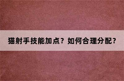 猫射手技能加点？如何合理分配？