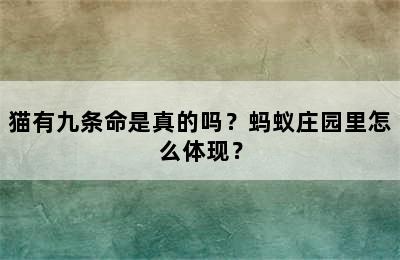 猫有九条命是真的吗？蚂蚁庄园里怎么体现？