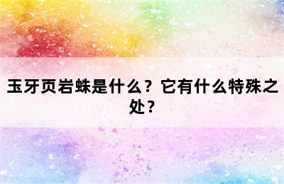 玉牙页岩蛛是什么？它有什么特殊之处？