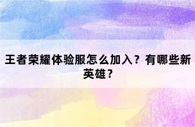 王者荣耀体验服怎么加入？有哪些新英雄？