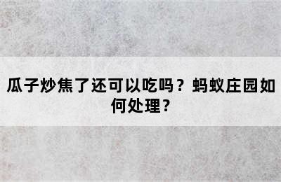 瓜子炒焦了还可以吃吗？蚂蚁庄园如何处理？