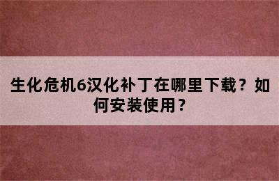 生化危机6汉化补丁在哪里下载？如何安装使用？