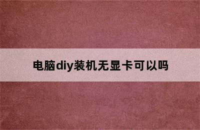 电脑diy装机无显卡可以吗