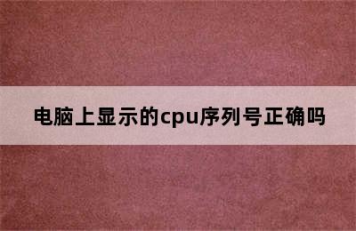 电脑上显示的cpu序列号正确吗