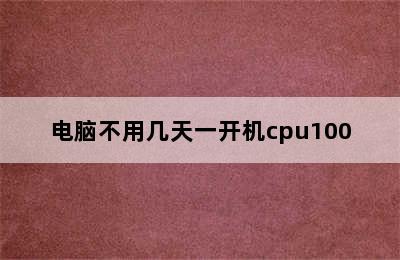 电脑不用几天一开机cpu100