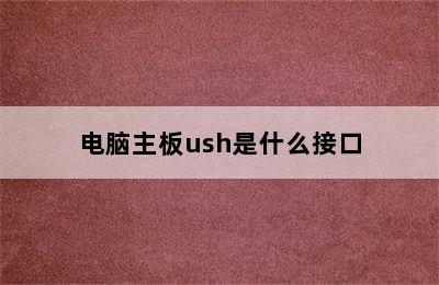 电脑主板ush是什么接口