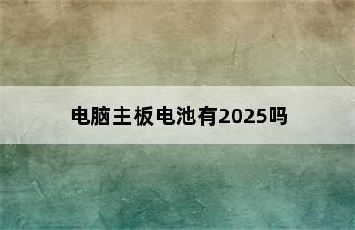 电脑主板电池有2025吗