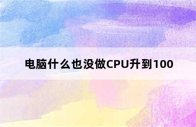 电脑什么也没做CPU升到100