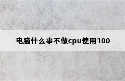 电脑什么事不做cpu使用100