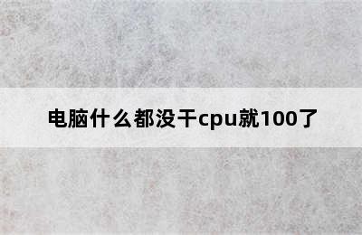 电脑什么都没干cpu就100了