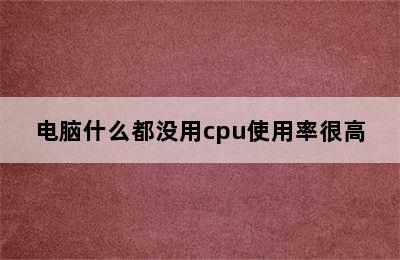 电脑什么都没用cpu使用率很高