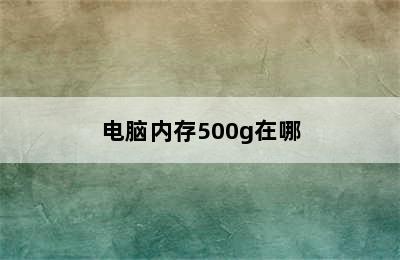 电脑内存500g在哪