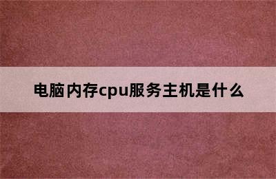 电脑内存cpu服务主机是什么