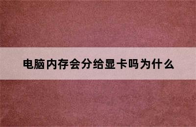 电脑内存会分给显卡吗为什么