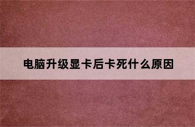 电脑升级显卡后卡死什么原因