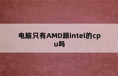 电脑只有AMD跟intel的cpu吗