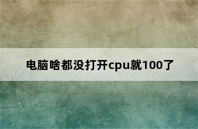 电脑啥都没打开cpu就100了