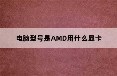 电脑型号是AMD用什么显卡
