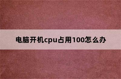 电脑开机cpu占用100怎么办