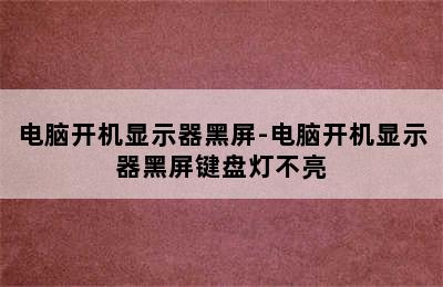 电脑开机显示器黑屏-电脑开机显示器黑屏键盘灯不亮