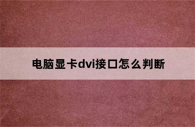 电脑显卡dvi接口怎么判断