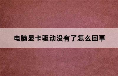 电脑显卡驱动没有了怎么回事