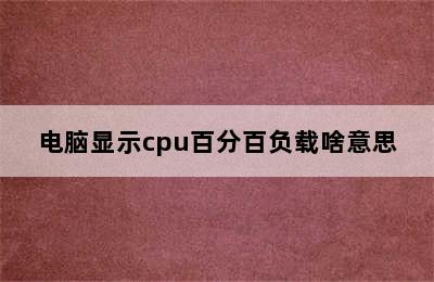 电脑显示cpu百分百负载啥意思