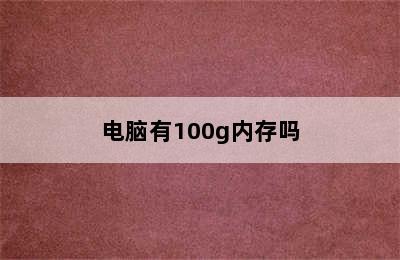 电脑有100g内存吗