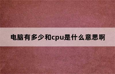 电脑有多少和cpu是什么意思啊