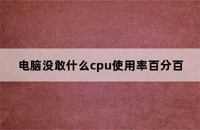 电脑没敢什么cpu使用率百分百