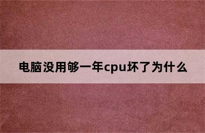 电脑没用够一年cpu坏了为什么