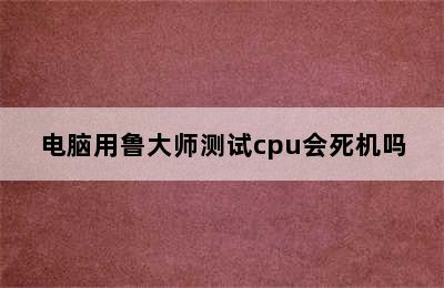 电脑用鲁大师测试cpu会死机吗