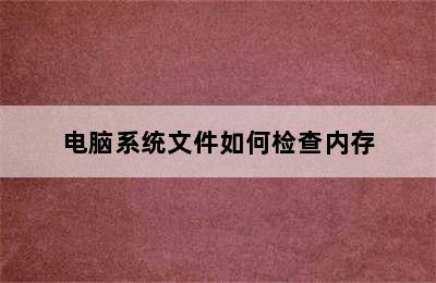 电脑系统文件如何检查内存