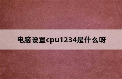 电脑设置cpu1234是什么呀