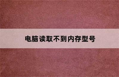 电脑读取不到内存型号