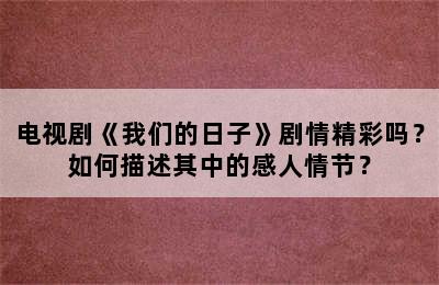 电视剧《我们的日子》剧情精彩吗？如何描述其中的感人情节？