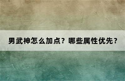 男武神怎么加点？哪些属性优先？