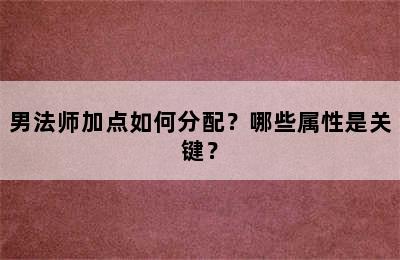 男法师加点如何分配？哪些属性是关键？