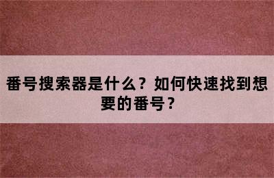 番号搜索器是什么？如何快速找到想要的番号？