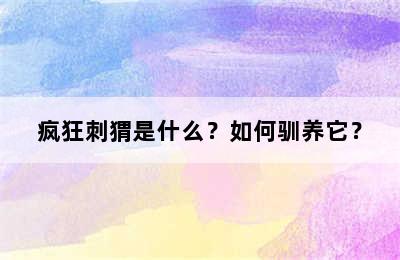 疯狂刺猬是什么？如何驯养它？