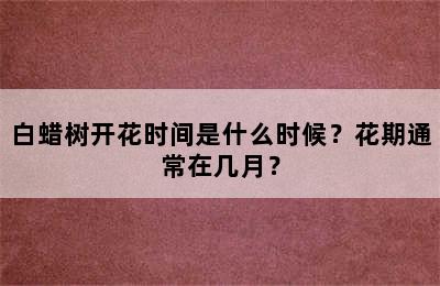 白蜡树开花时间是什么时候？花期通常在几月？