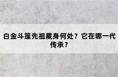 白金斗篷先祖藏身何处？它在哪一代传承？