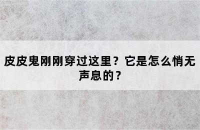 皮皮鬼刚刚穿过这里？它是怎么悄无声息的？