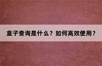 盒子查询是什么？如何高效使用？