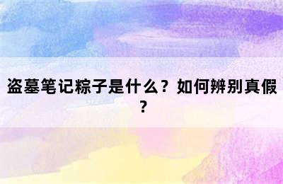 盗墓笔记粽子是什么？如何辨别真假？